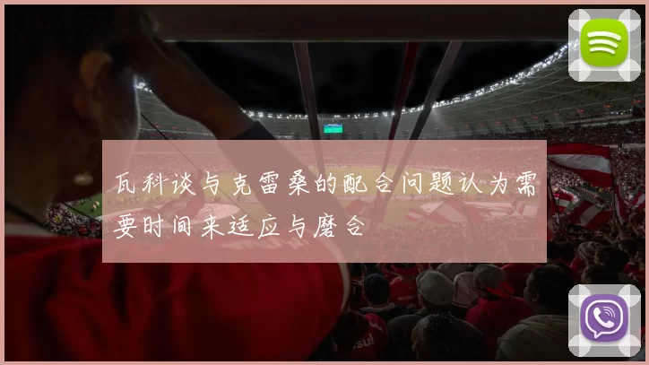 瓦科谈与克雷桑的配合问题认为需要时间来适应与磨合