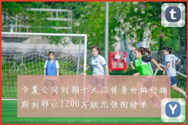 今夏合同到期十大门将身价排行梅斯利耶以1200万欧元领衔榜单